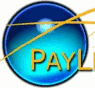 Payless 4 Cleaning logo